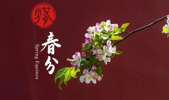 吃了春分菜一年都发财”“春菜”指啥麻将胡了试玩3月20日春分老人说“(图4)