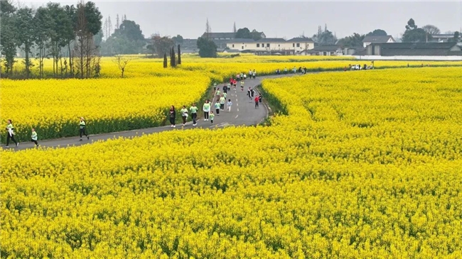 开启：穿越金色秘境解锁春日宝藏麻将胡了app崇州花海寻宝报名(图2)